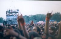Sziget love`s you!